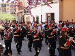 Domingo de Ramos 2014 63